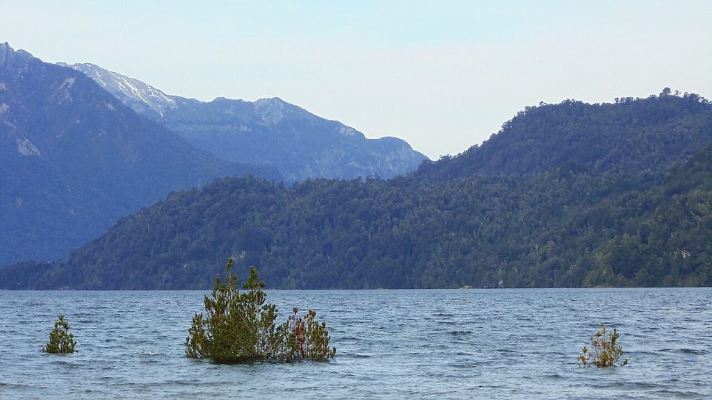 Agua de un lago chileno