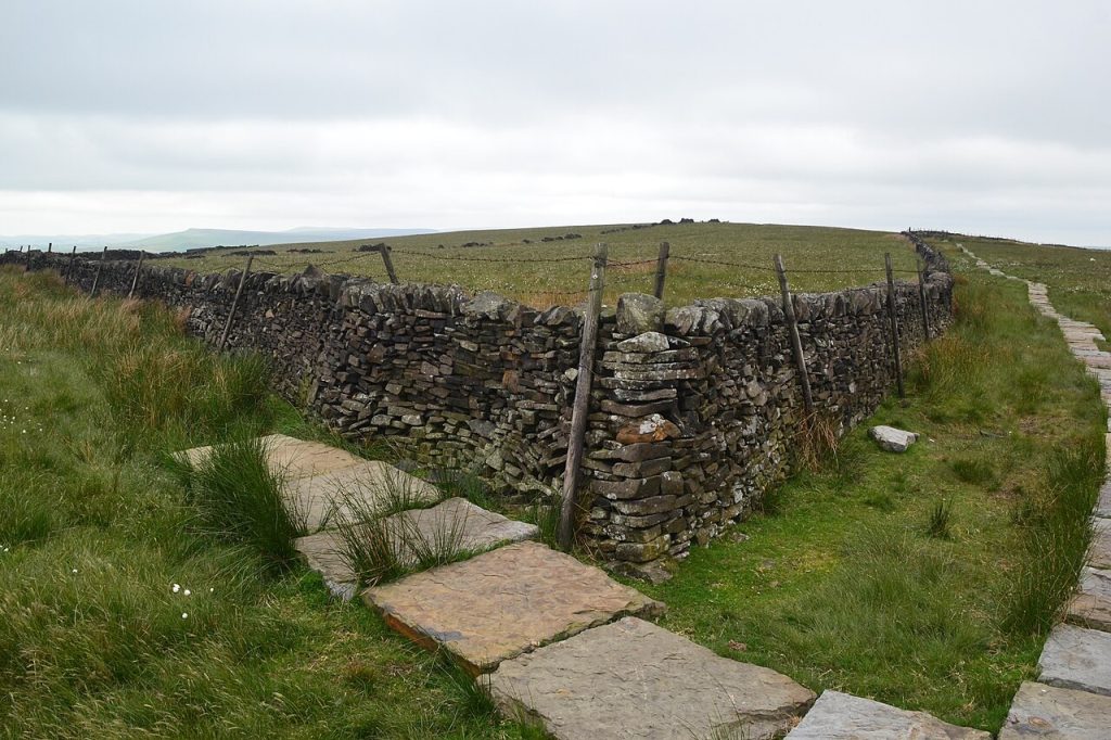 Muro de piedra junto a un camino