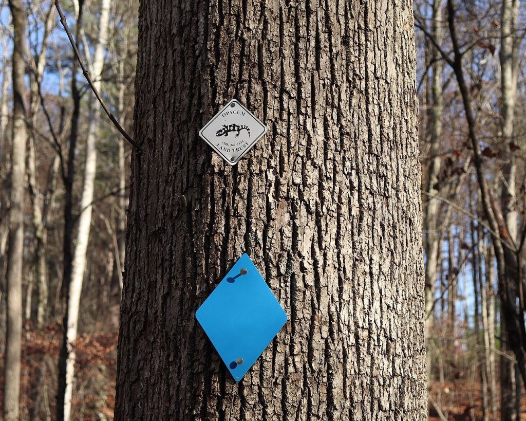 Marca de un sendero