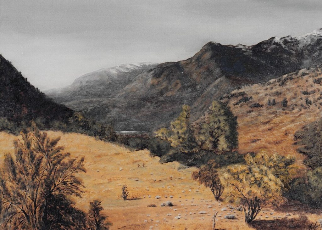 Paisaje del Cajón del Maipo